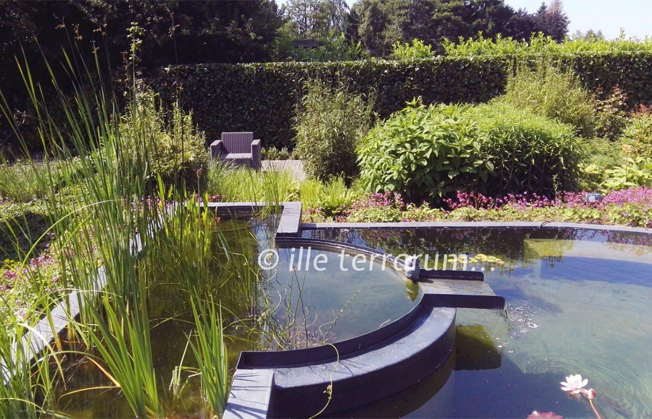 Jardin créé par Ille Terrarum - un bel équilibre entre espaces naturels et sauvages et parties plus contemporaines - buis et haies taillés, fleurs et graminées libres - avec un plan d'eau