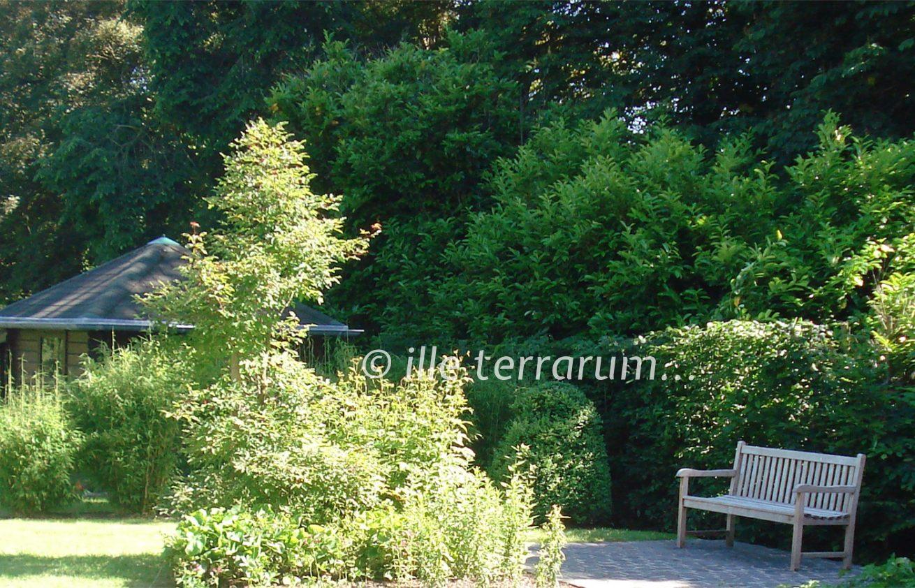 Jardin créé par Ille Terrarum - un bel équilibre entre espaces naturels et sauvages et parties plus contemporaines - buis et haies taillés, fleurs et graminées libres - avec un plan d'eau